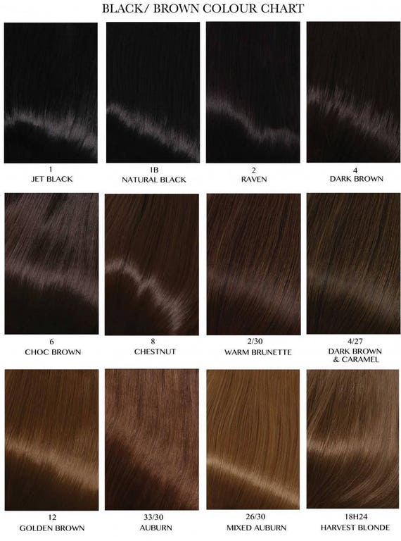 Hair Extension Color Number Chart