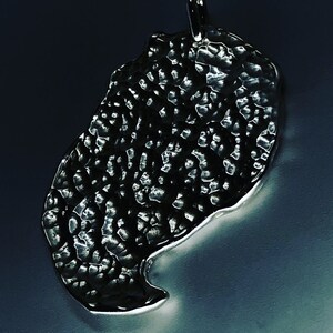 Silver claw pendant. image 8