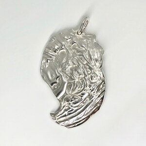 Pendentif griffe en argent. image 4