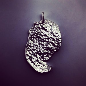 Silver claw pendant. image 10