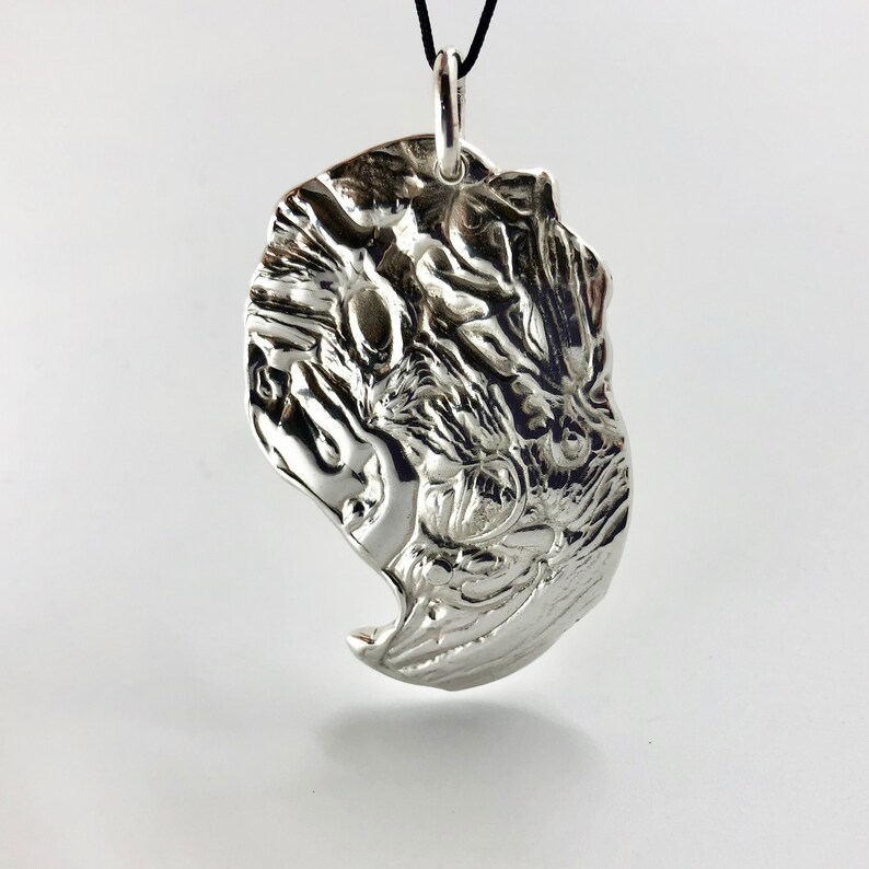 Pendentif griffe en argent. image 1