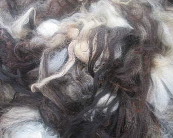 Fibre and wool