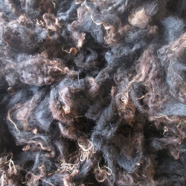 Gestrike lambswool, one whole raw fleece, natural black w brown tips, 700 g, no 651
