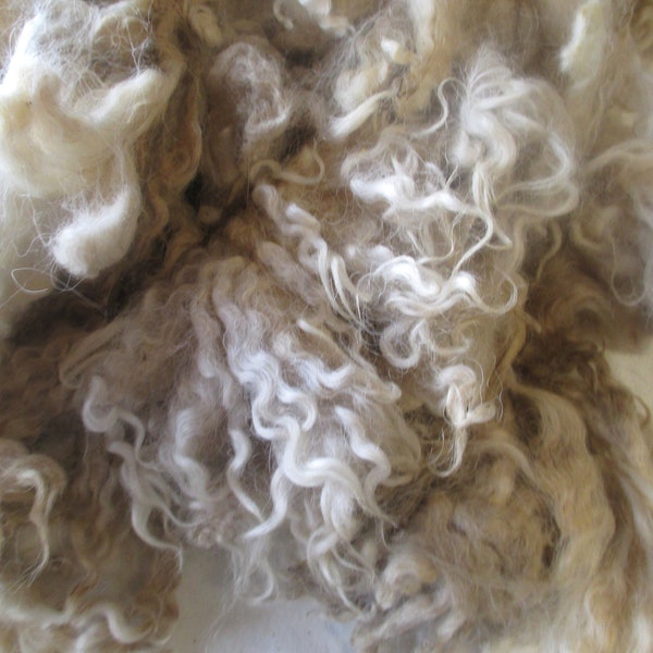 Helsinge wool, one whole raw fleece, white, 1.8 kg, no 655