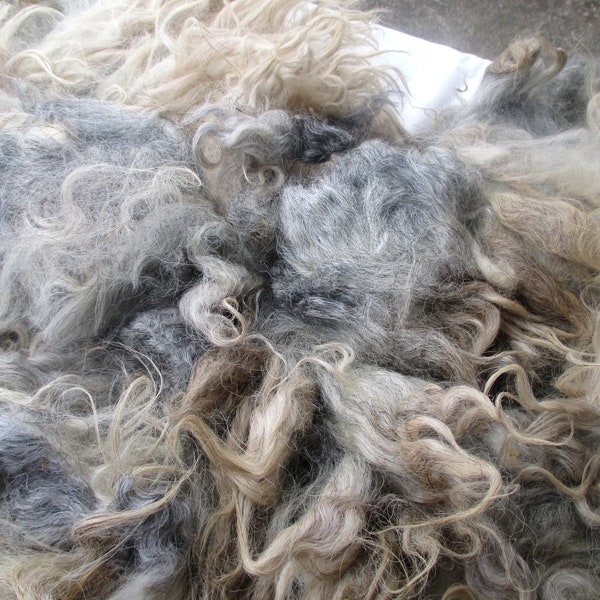 Helsinge wool, one half raw fleece, white, 1 kg, no 657