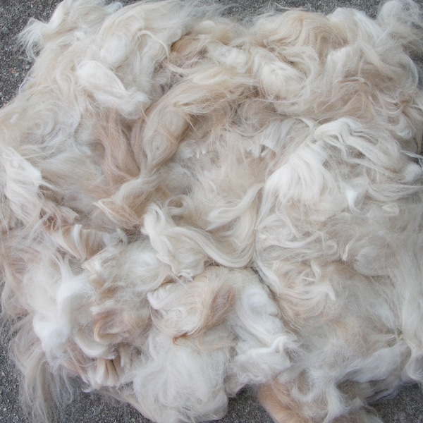 Angora Fibre 2d class, 40 g soft and warm fibre for felting from my red/yellow angora bunnies