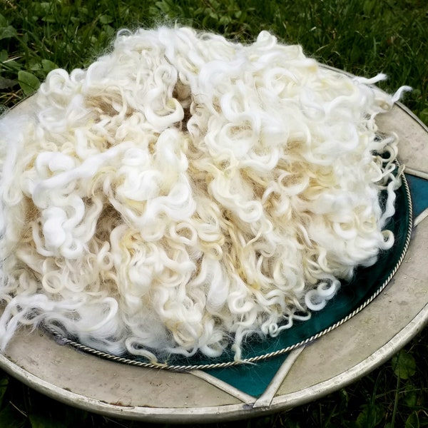 Gently washed white Leicester locks, 200 g curly shiny wool curls to spin, felt or decorate