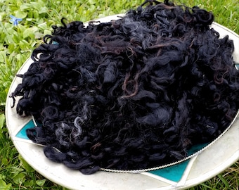 Gently washed black Gotland locks, 200 g curly Gotland wool to spin, felt or decorate