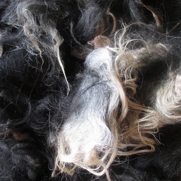 Gestrike wool whole raw fleece black to white, 750 g, no 664