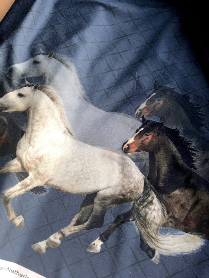 Camiseta para hombre con estampado de caballos de punto de algodón Dark blue