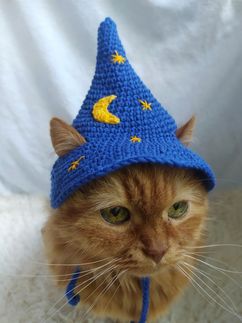 Blue Wizard Hat for Cat Wizard Pet Hat Gift for Cat Lover Etsy