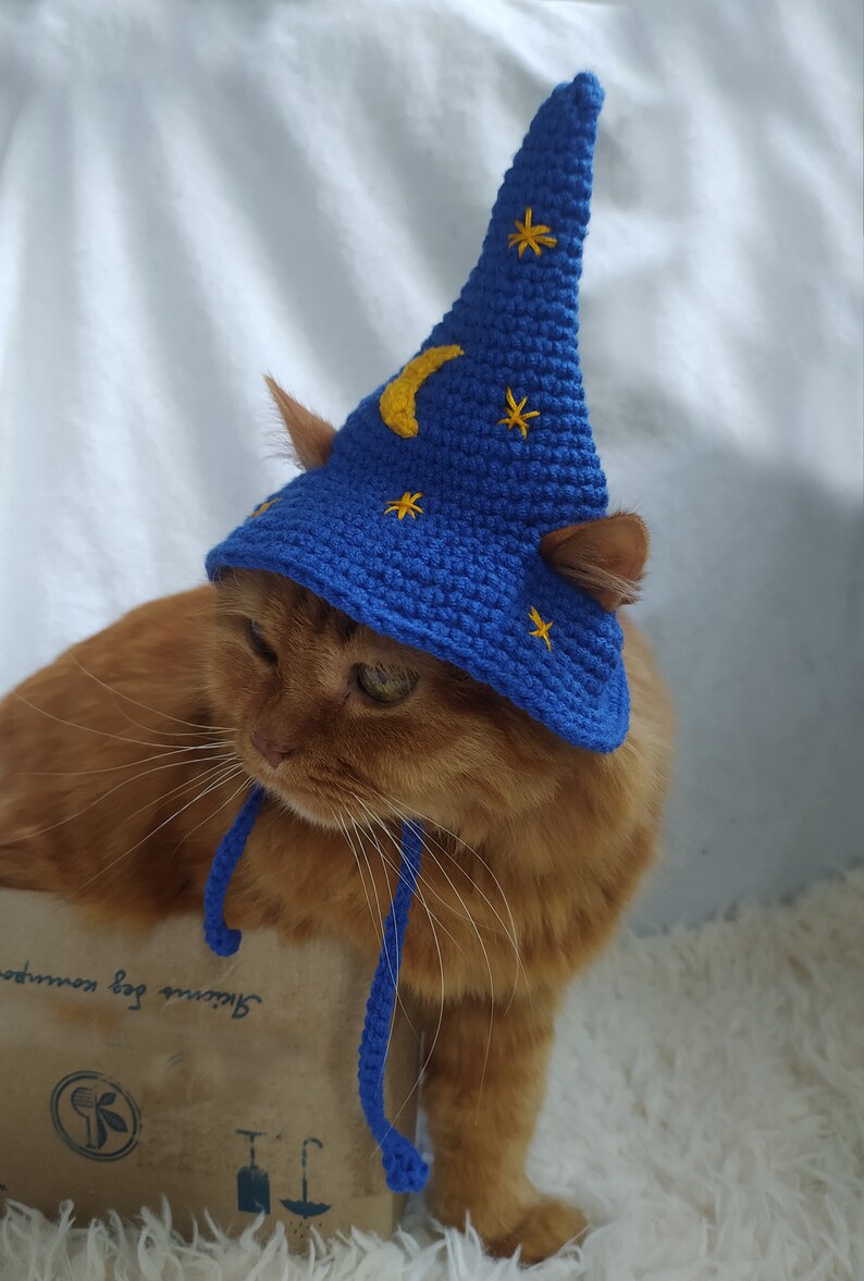 Blue Wizard Hat for Cat Wizard Pet Hat Gift for Cat Lover Etsy