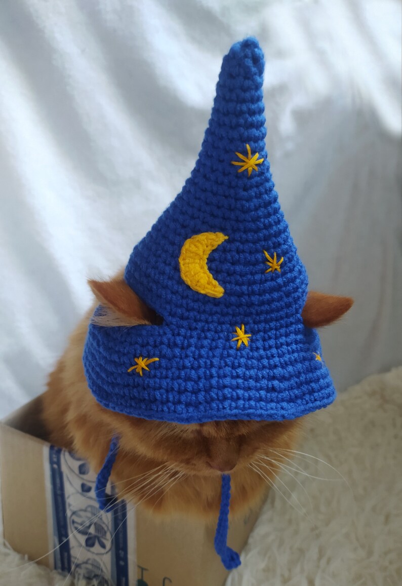 Blue Wizard Hat for Cat Wizard Pet Hat Gift for Cat Lover Etsy