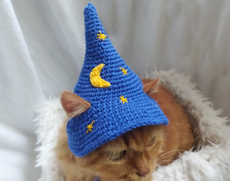 Blue Wizard Hat for Cat Wizard Pet Hat Gift for Cat Lover Etsy