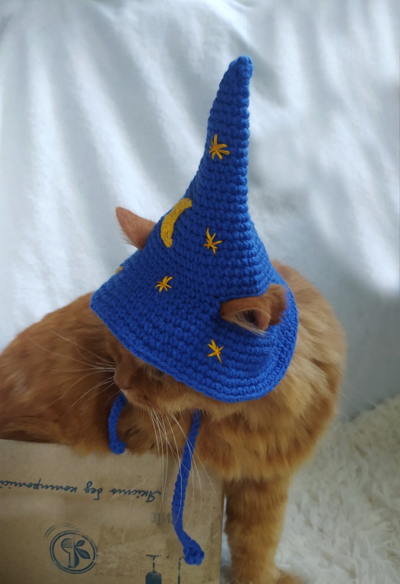 Blue Wizard Hat for Cat Wizard Pet Hat Gift for Cat Lover Etsy