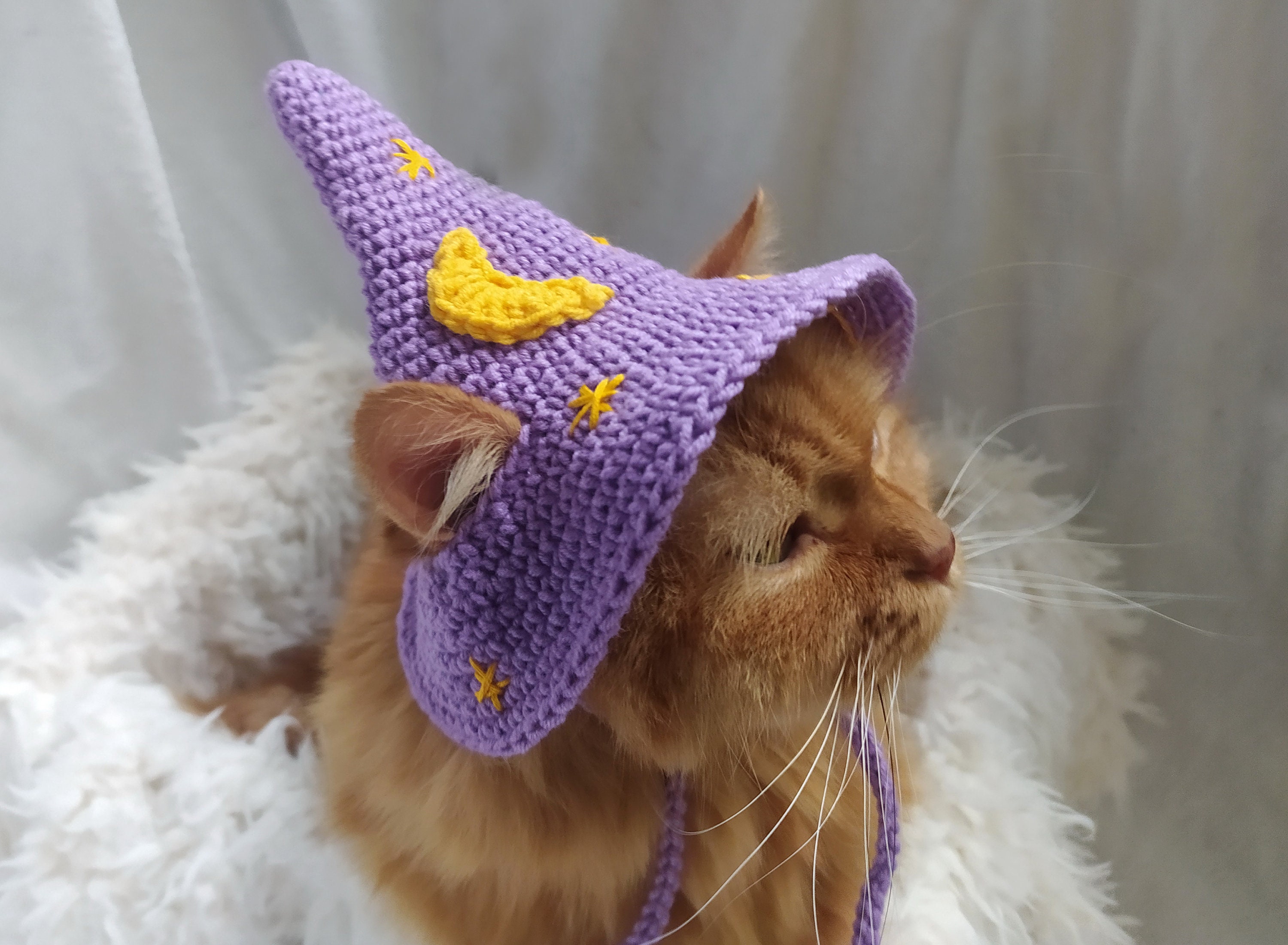 Purple Wizard Cat Hat Wizard Hat for Cat Wizard Hat for 