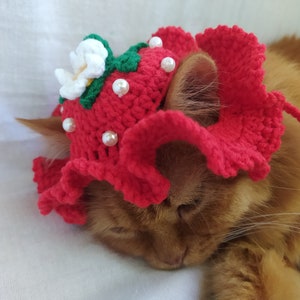 Strawberry Hat for Cat, Funny Cat Hat, Small Dog Hat, Gift for Cat Lover, Bucket Hat for Cat, Halloween Pet Costume, Crochet Cat Hat