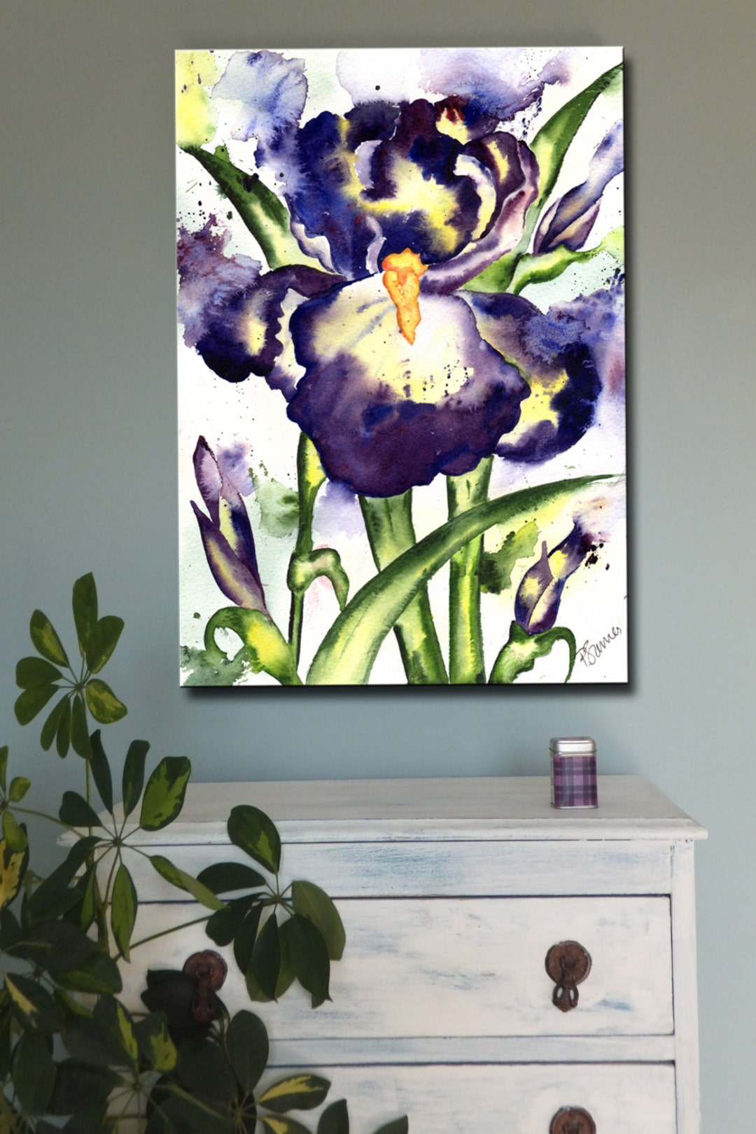 IRIS SPLASH Art Canvas Print of Original Watercolour Painting - Etsy