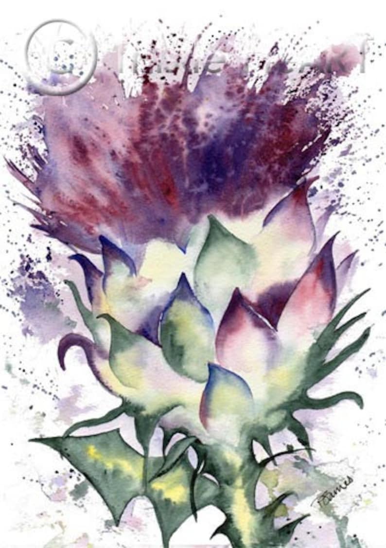 SCOTTISH THISTLE Scotland Art Print of Original Watercolour Etsy