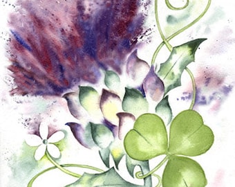 THISTLE SHAMROCK Scotland Ireland art print of original watercolour painting Scottish Irish heritage watercolor emblem