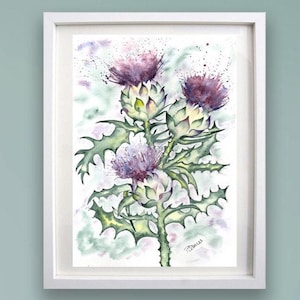 THREE SCOTTISH THISTLES A4 or A3 Print - Art print of original Scottish watercolour painting