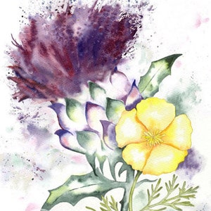 THISTLE CALIFORNIAN POPPY  Scottish art print of original watercolour painting Scotland California state flower emblem