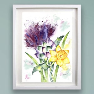 THISTLE DAFFODIL - A4 or A3 Prints - Scotland & Wales - Art print of original Scottish watercolour painting