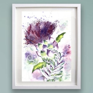 THISTLE SILVER FERN A4 or A3 Print - New Zealand & Scotland - Art print of original Scottish watercolour painting