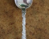 WHITING Louis XV Sterling Silver Table Spoon Serving Spoon no monogram ANTIQUE