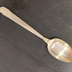 Northern Lights Sterling Serving Spoon by International