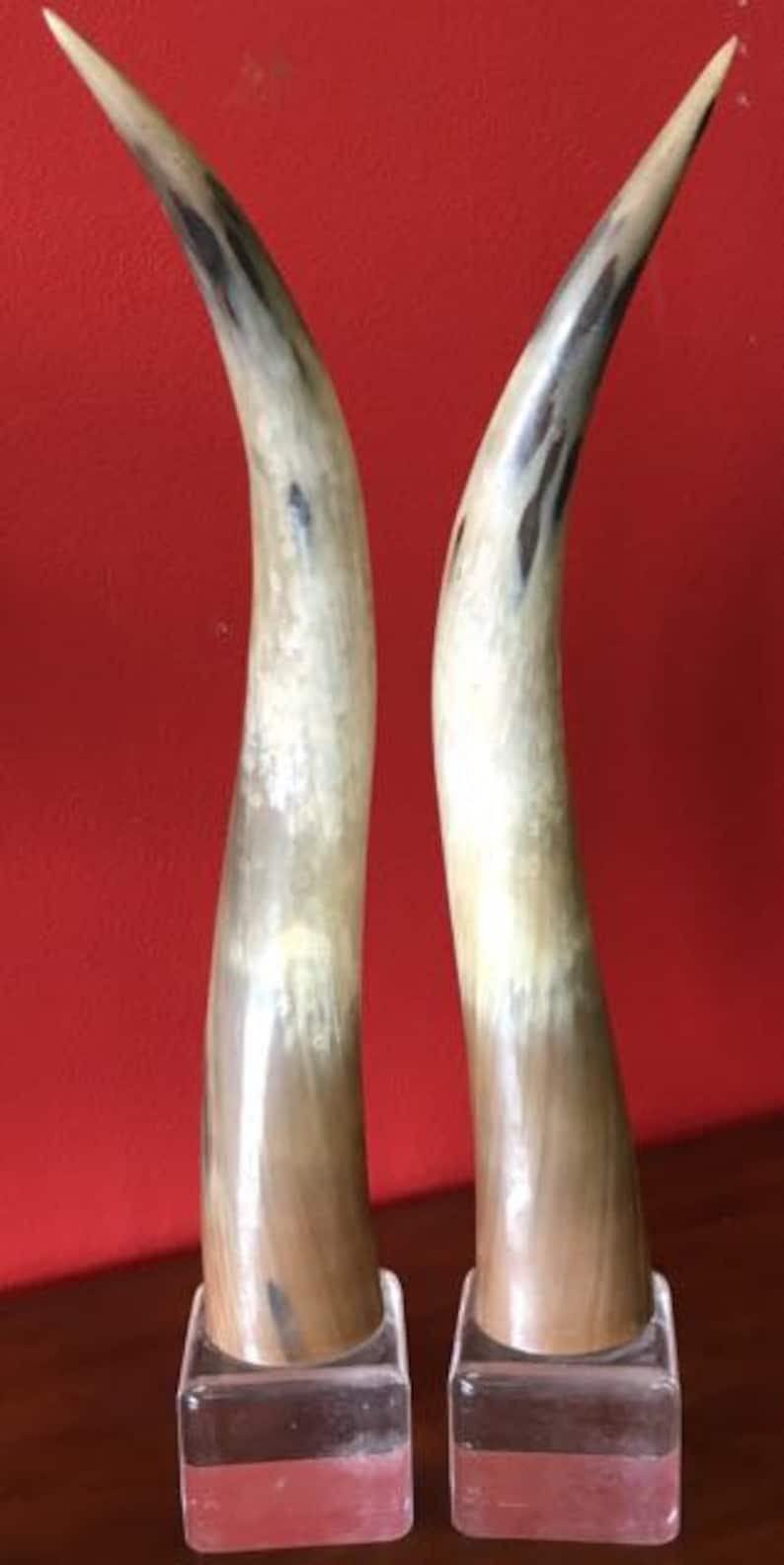 Texas Longhorns Pair of cattle horns on Lucite bases Mid Etsy