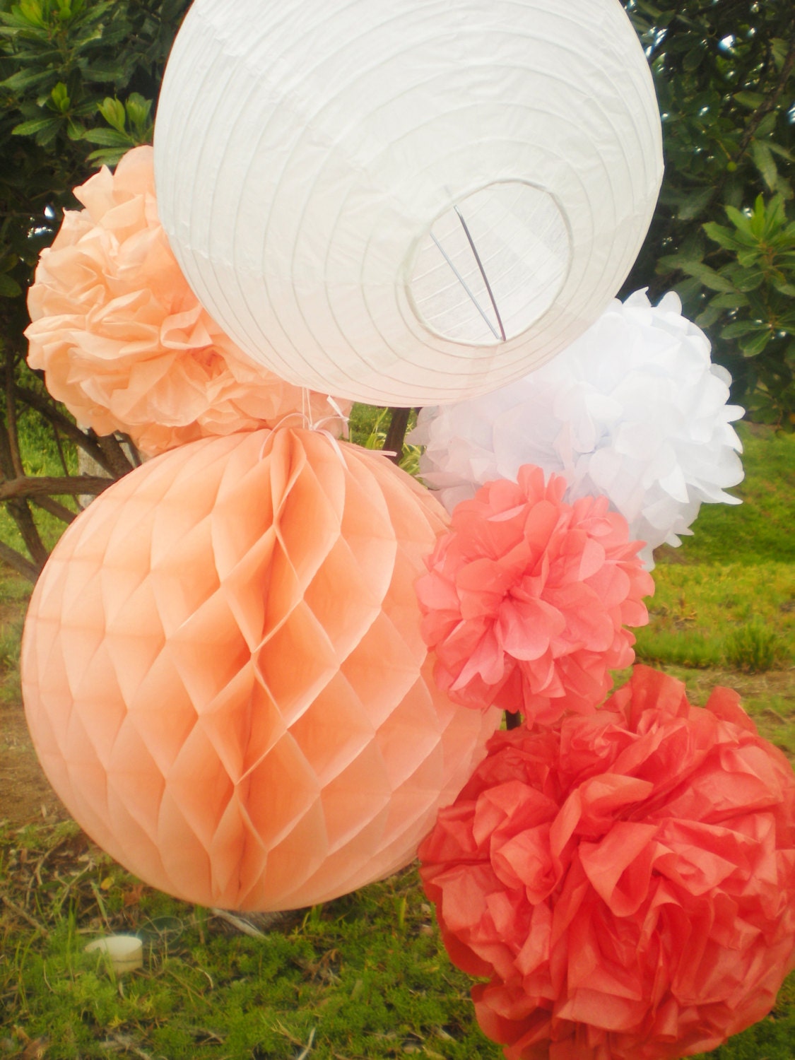 5 2L/2M/1S Tissue Paper Pom Poms Pink&mint Princess Party -   Diy  wedding projects, Tissue paper flowers, Tissue paper pom poms
