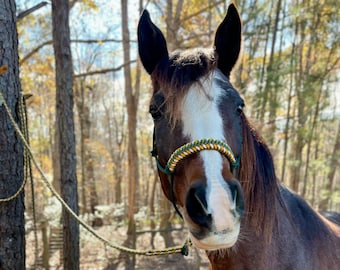 Soft Rope Horse Halter with Braided Noseband and Lead Rope