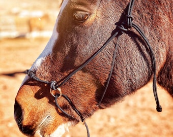 Thin Stiff Knotted Rope Cross under Horse Training Halter