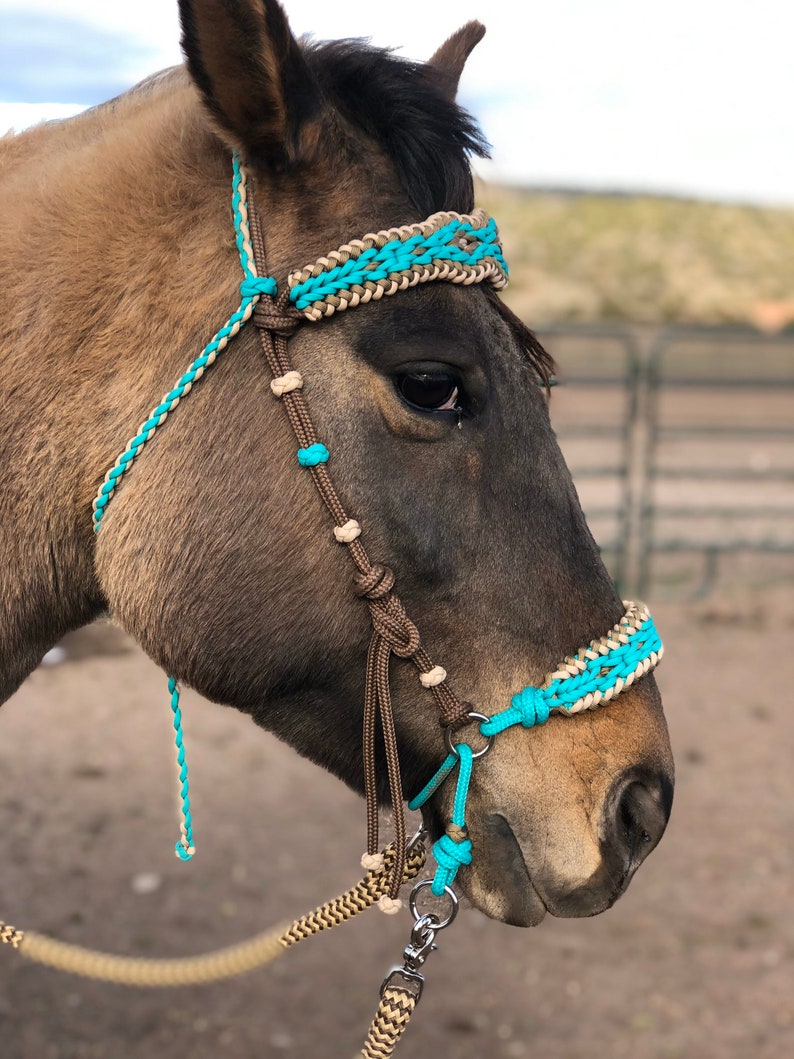 Knotted Soft Rope Chin Slip Hackamore Bitless Bridle for Horse Etsy