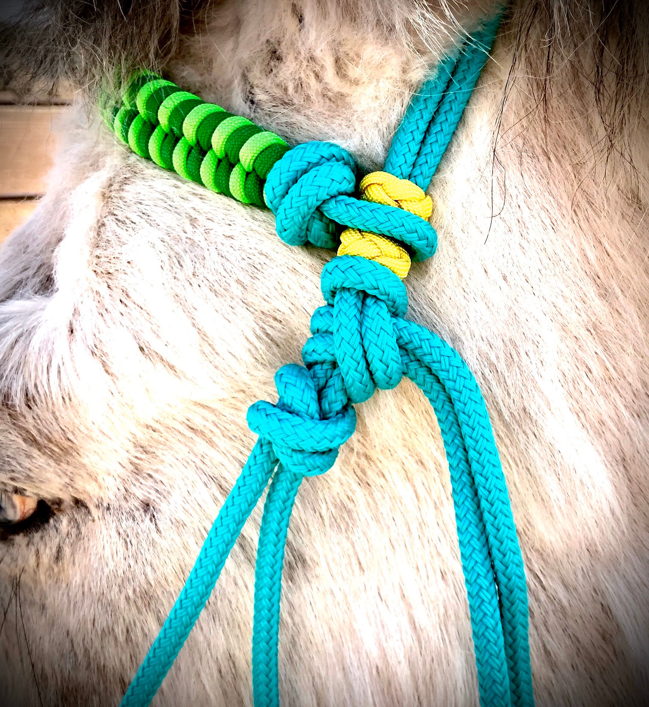 Soft Rope Cross Jaw Bitless Bridle Hackamore- Woven Paracord Overlay ...