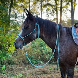 Könnte beinhalten: Ein dunkelgraues Pferd mit weißer Blesse und einem türkisfarbenen Seilhalfter und -strick. Das Pferd ist gesattelt und steht auf einer Wiese mit Bäumen im Hintergrund. Der Sattel ist aus braunem Leder mit dekorativen Akzenten.