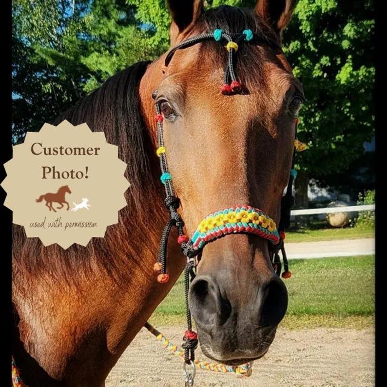 Briglia per cavallo senza morso con rivestimento in paracord personalizzato a tema girasole. immagine 4
