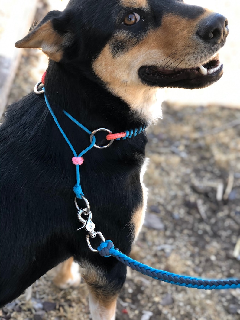 Rope Martingale Training Dog Collar Woven Paracord Overlay Etsy