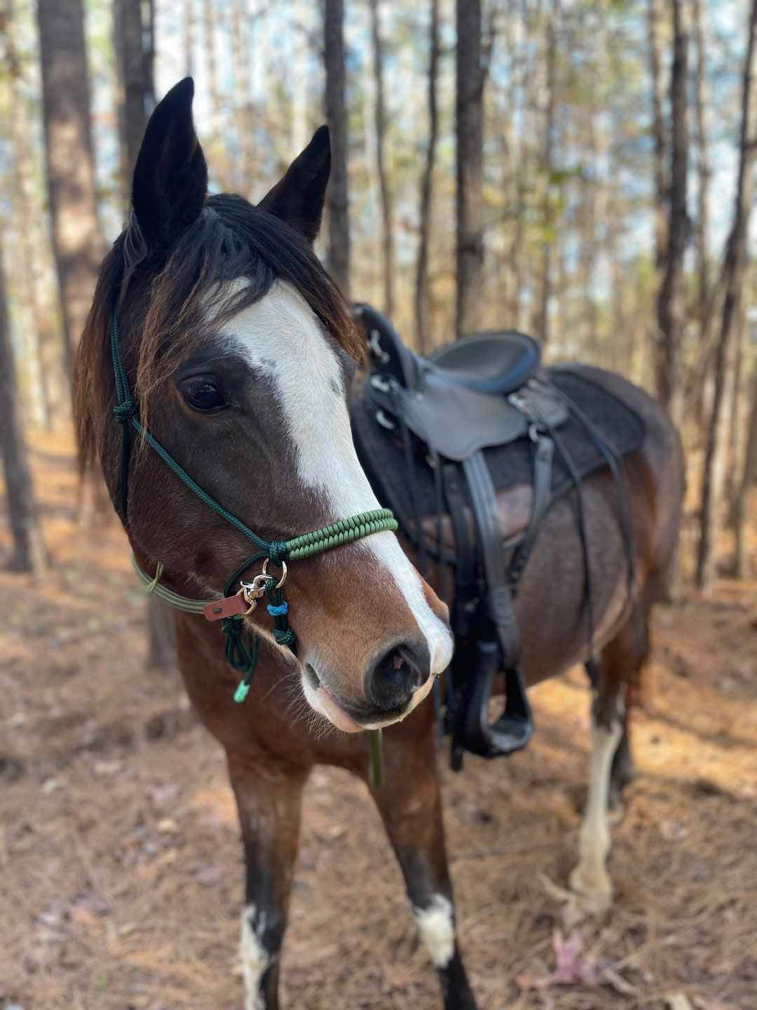 Soft Rope Halter/ Bitless Bridle With Woven Paracord Noseband