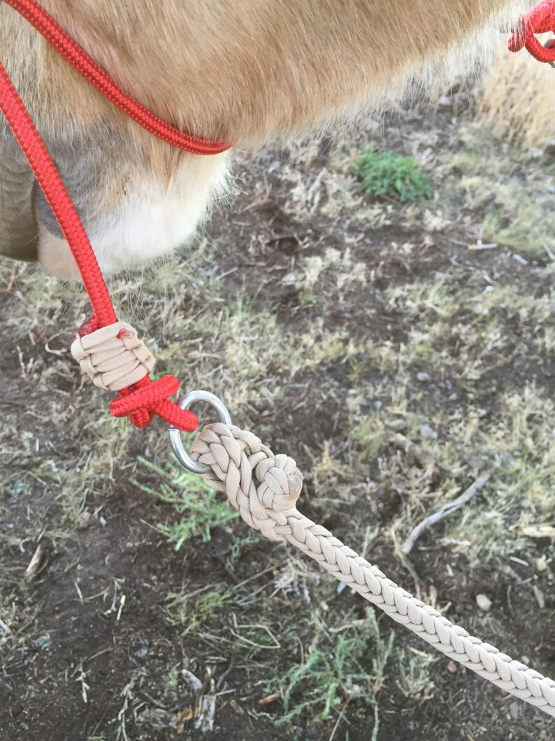 Round Braided Rope Reins Etsy