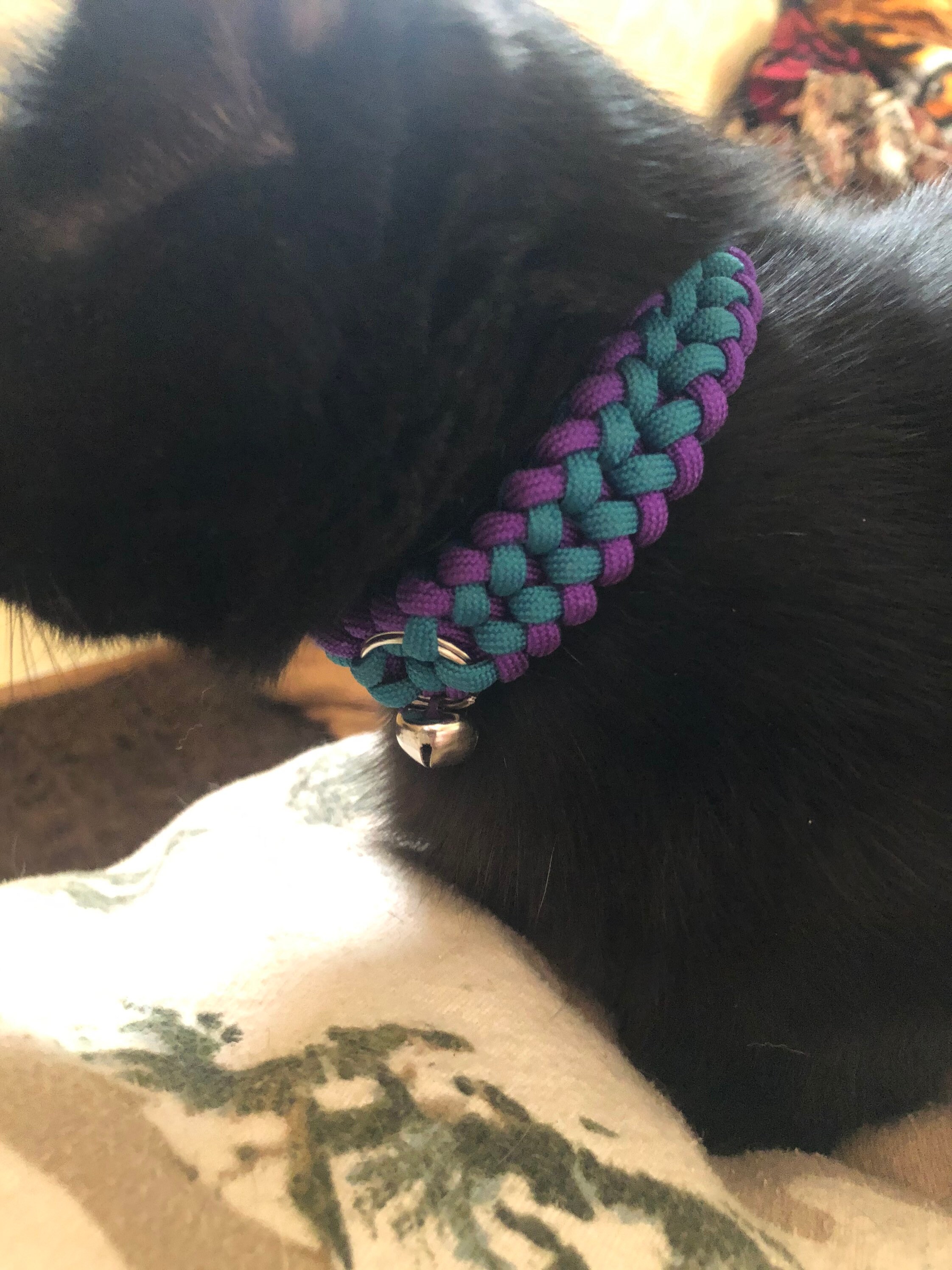 Braided Paracord Cat Collar Etsy
