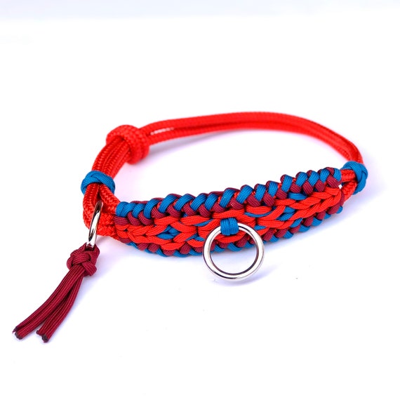 Braided paracord top dog collars