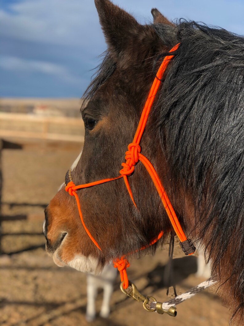 Stiff Rope Halterzigzag Paracord Overlay Horse Training Etsy