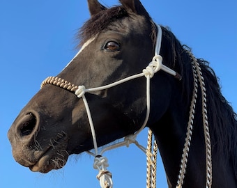 Custom Stiff Rope Halter-&-Matching Lead-Woven noseband Overlay- Horse Training Halter