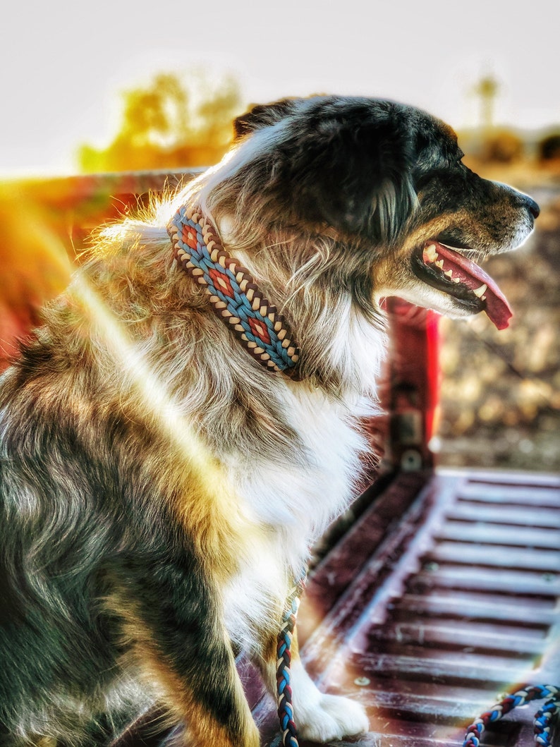 Martingale Dog Collar Braided Diamond Rope And Paracord Wide Training Collar For Medium to Extra Large Dogs WITH MATCHING LEASH