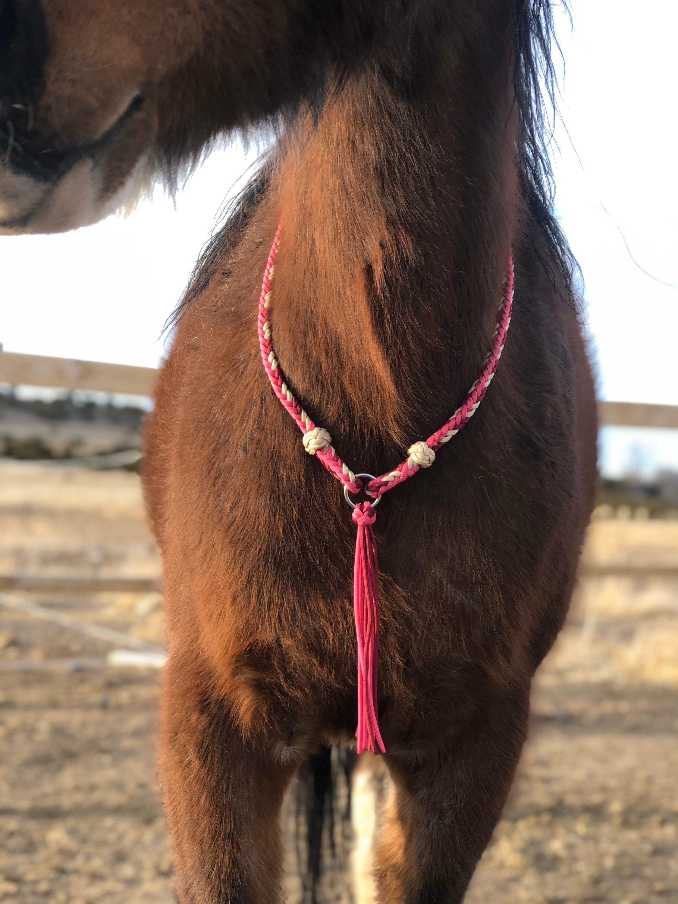 Square Braided Liberty Horse Neck Rope Etsy