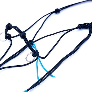 Könnte beinhalten: Nahaufnahme eines schwarzen Seilhalfters mit silbernen Metallringen und blauen Akzenten. Das Halfter ist an mehreren Stellen geknotet und hat eine Schlaufe am Ende. Der Hintergrund ist weiß.