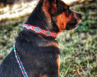 Braided Rope Slip Dog Collar – Paracord Training Collar, Medium to Large Dogs