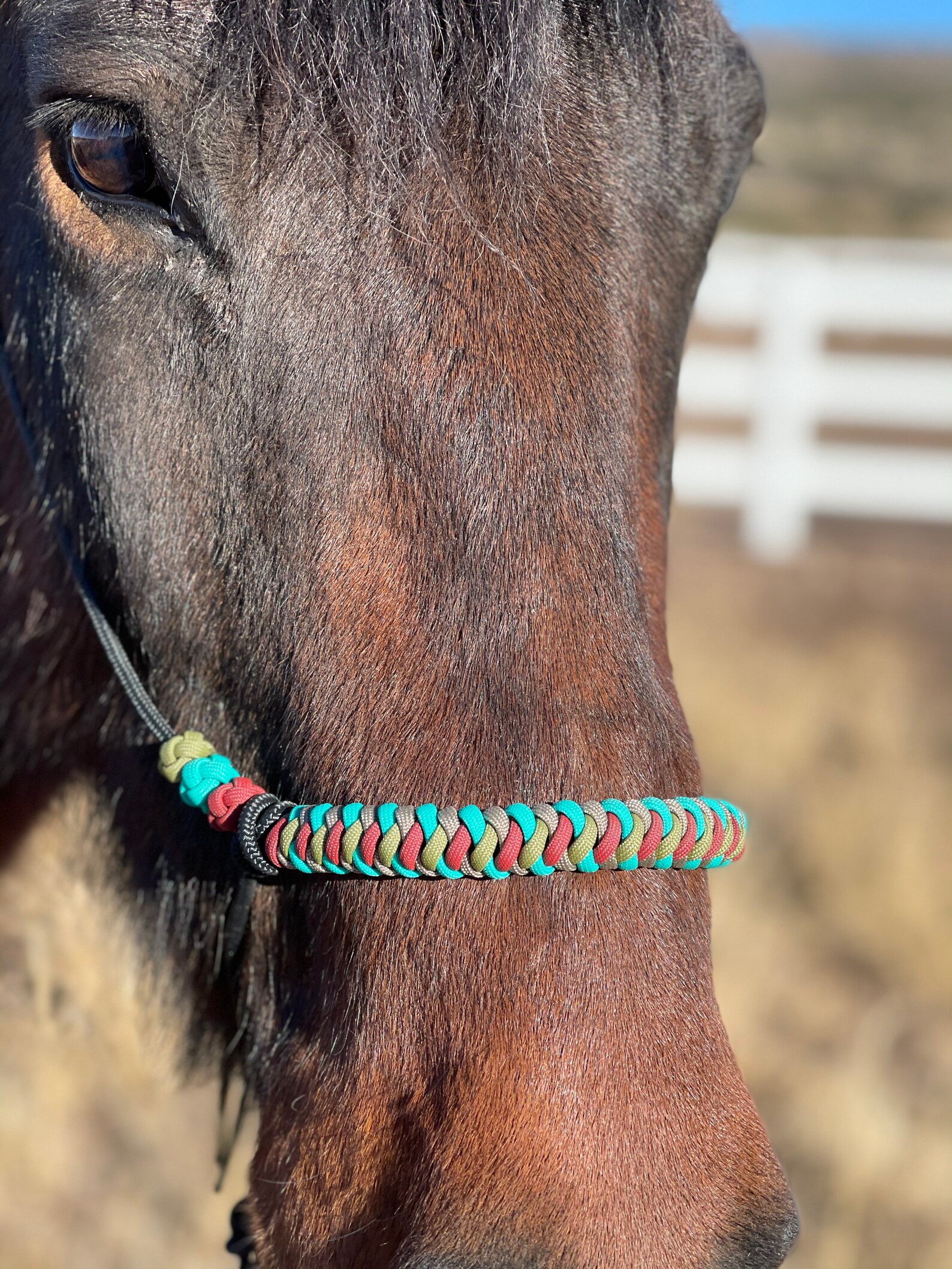 1/4" Stiff Rope Training Halter For Arabian & Cob Horses - Fits Anderson Method